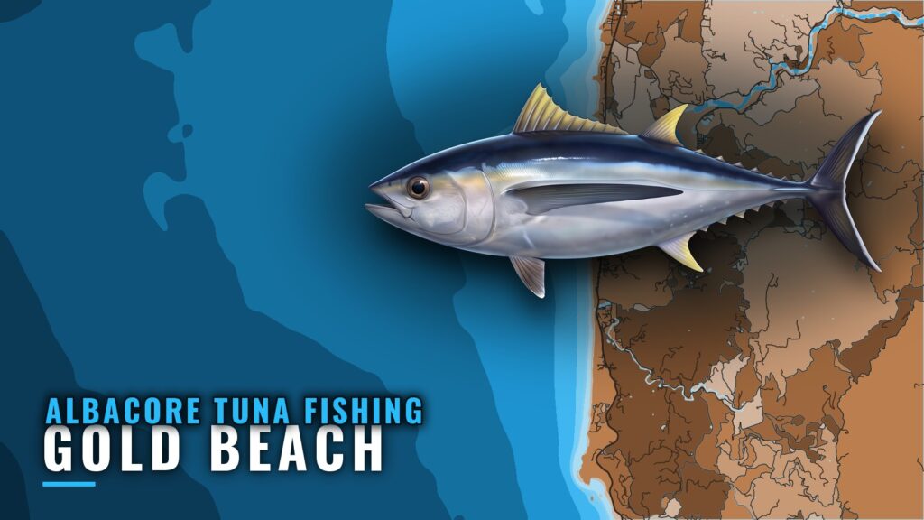 Albacore Tuna Fishing Out of Gold Beach: Season and Runs