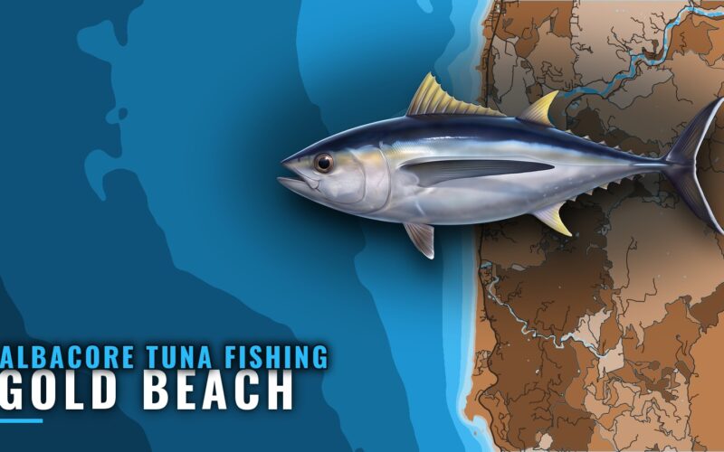 Albacore Tuna Fishing Out of Gold Beach: Season and Runs