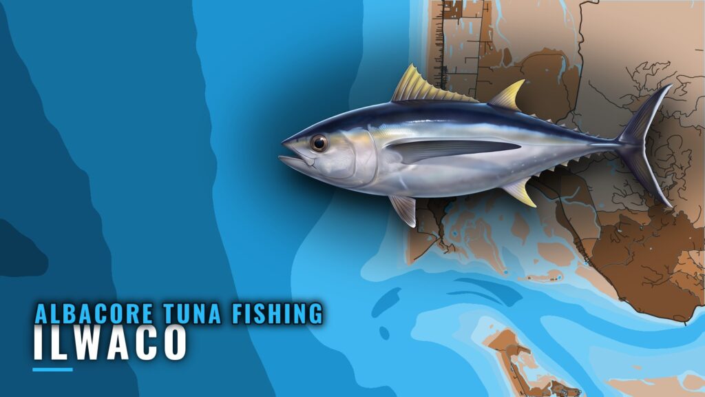 Albacore Tuna Fishing Out of Ilwaco: Season, Boats, Methods