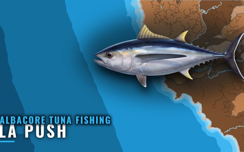 Albacore Tuna Fishing Out of La Push: When, Where, How