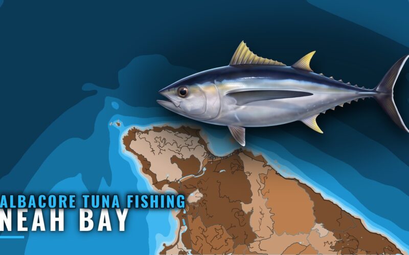 Albacore Tuna Fishing Out of Neah Bay: Range and Grounds