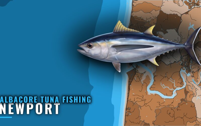Albacore Tuna Fishing Out of Newport, Oregon