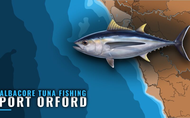 Albacore Tuna Fishing Out of Port Orford: Months and Runs