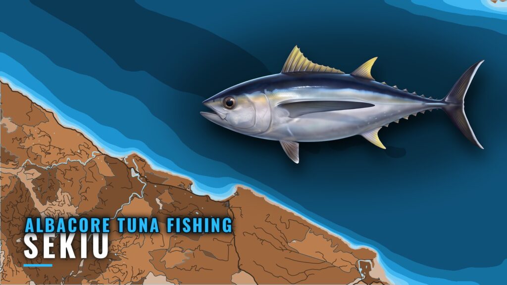 Albacore Tuna Fishing Out of Sekiu: Runs, Months, Grounds