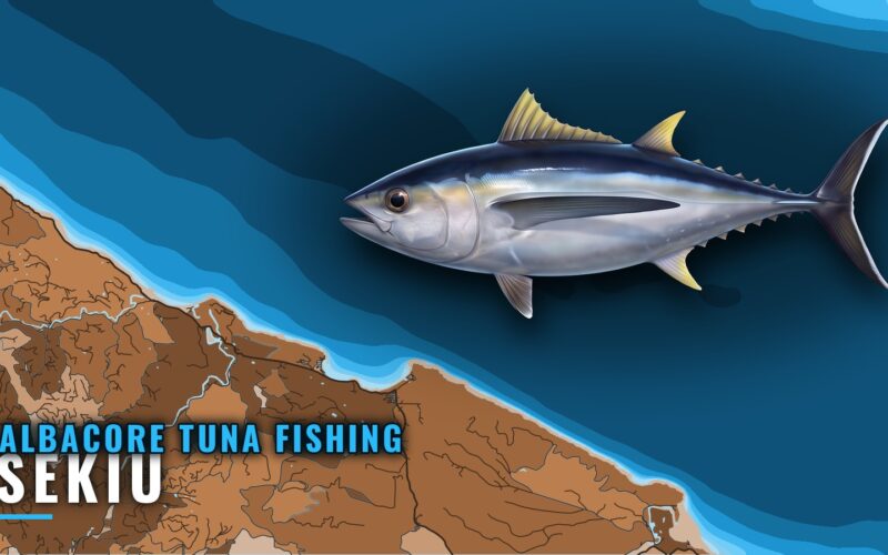 Albacore Tuna Fishing Out of Sekiu: Runs, Months, Grounds