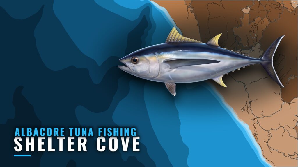 Albacore Tuna Fishing Out of Shelter Cove, California