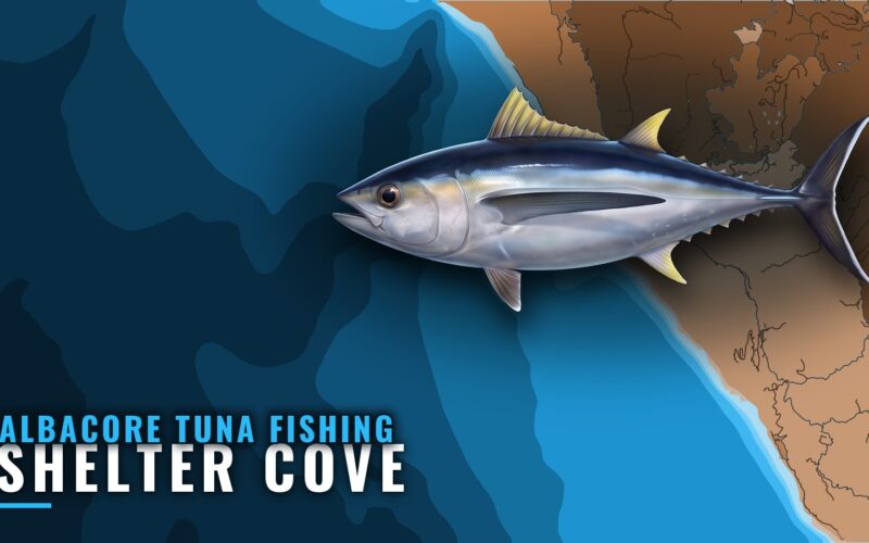 Albacore Tuna Fishing Out of Shelter Cove, California