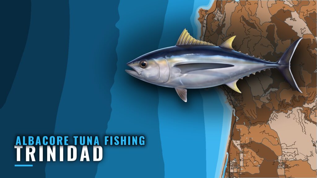 Albacore Tuna Fishing Out of Trinidad: Where Boats Run