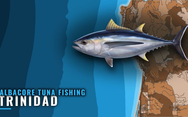 Albacore Tuna Fishing Out of Trinidad: Where Boats Run