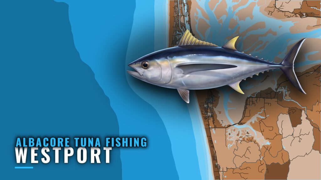 Albacore Tuna Fishing Out of Westport: Runs and Timing