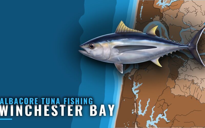 Albacore Tuna Fishing Out of Winchester Bay, Oregon
