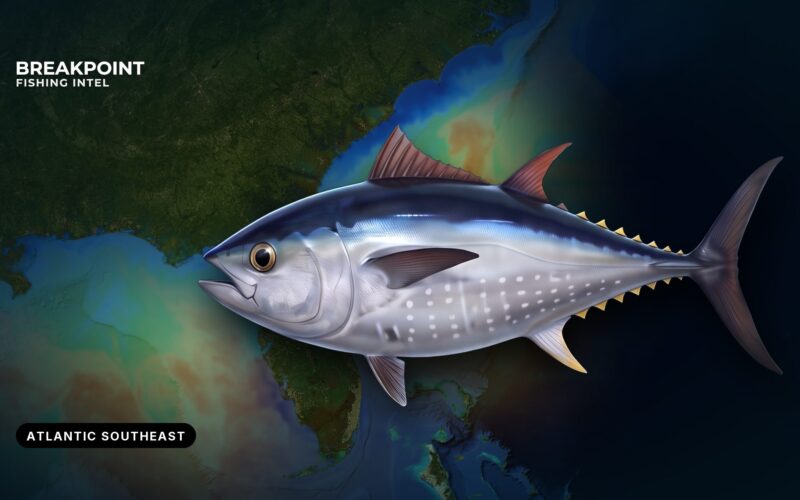 Atlantic Bluefin Tuna Fishing in the Atlantic Southeast