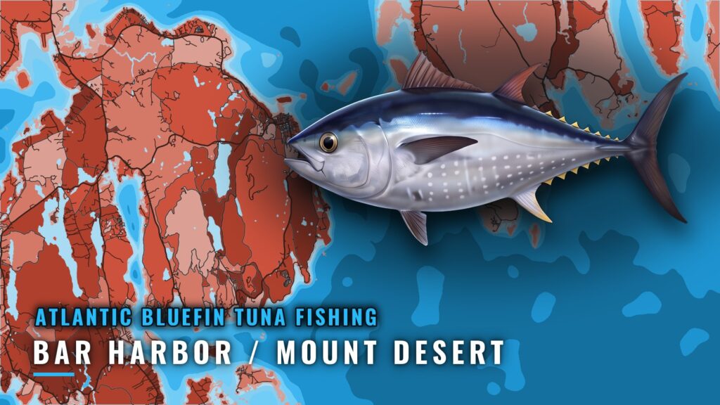 Atlantic Bluefin Tuna Out of Bar Harbor / Mount Desert