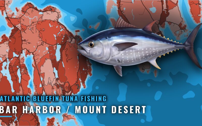 Atlantic Bluefin Tuna Out of Bar Harbor / Mount Desert