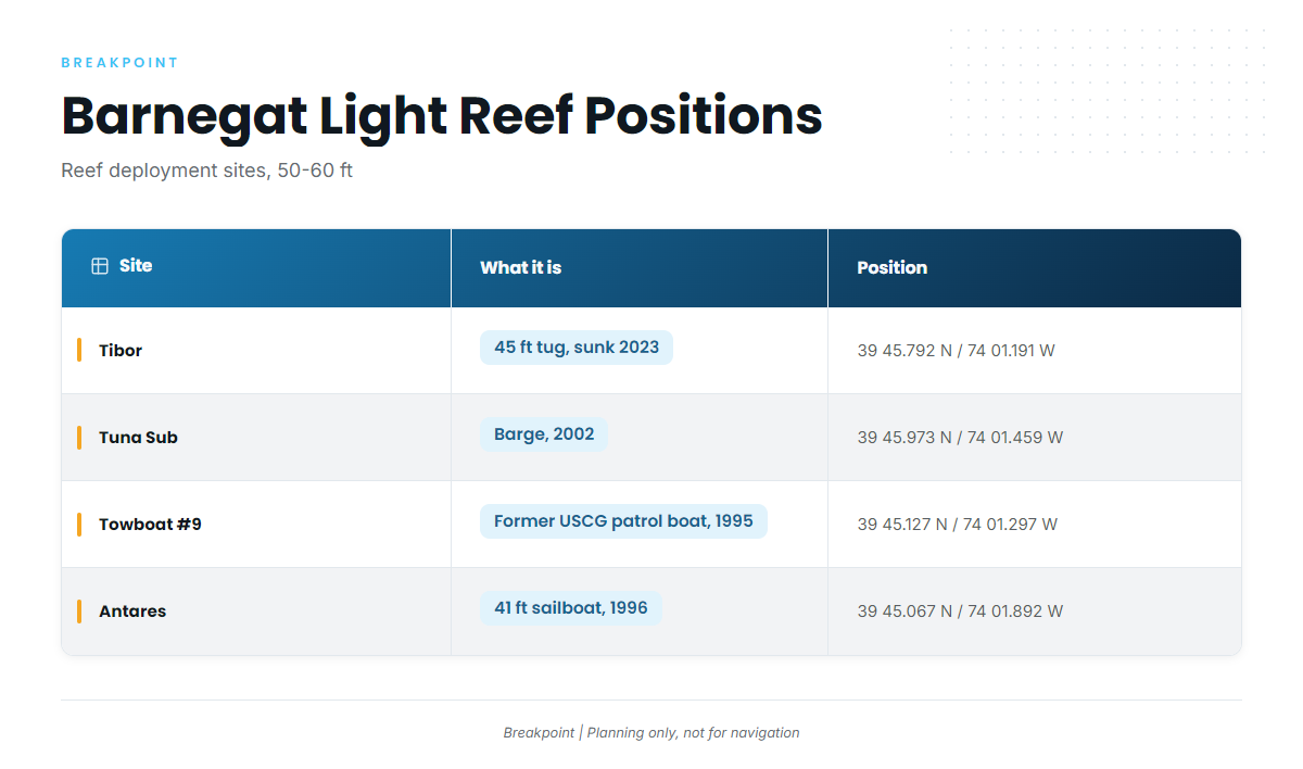 Barnegat Light Reef and its wrecks
