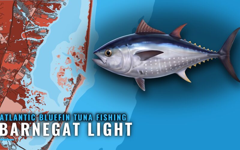 Atlantic Bluefin Tuna Fishing Out of Barnegat Light, NJ