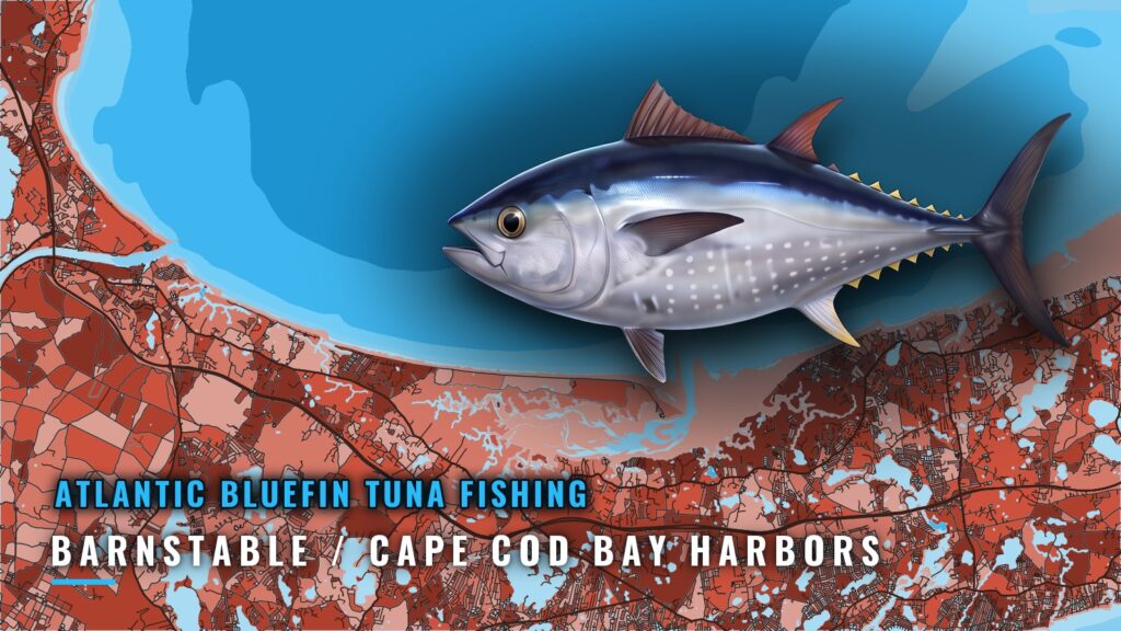 Bluefin Tuna Fishing Out of Barnstable and Cape Cod Bay