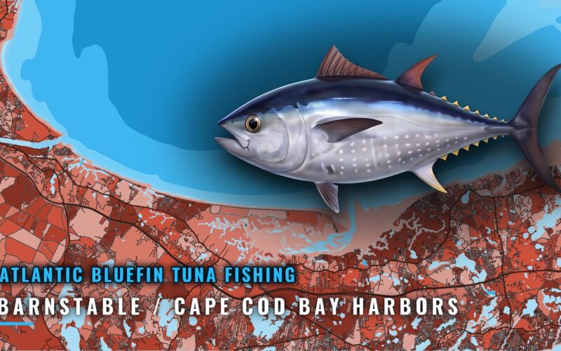 Bluefin Tuna Fishing Out of Barnstable and Cape Cod Bay