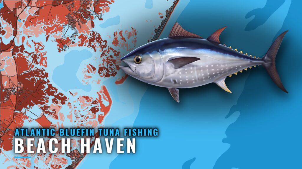 Atlantic Bluefin Tuna Fishing Out of Beach Haven, NJ