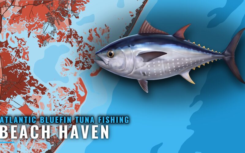 Atlantic Bluefin Tuna Fishing Out of Beach Haven, NJ