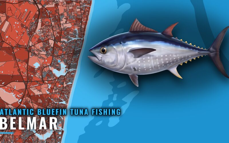 Atlantic Bluefin Tuna Fishing Out of Belmar, NJ