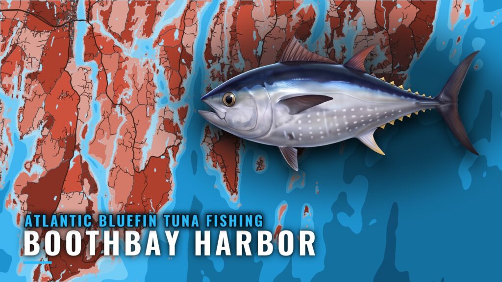 Atlantic Bluefin Tuna Fishing Out of Boothbay Harbor, Maine