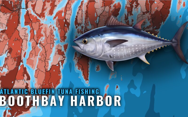 Atlantic Bluefin Tuna Fishing Out of Boothbay Harbor, Maine