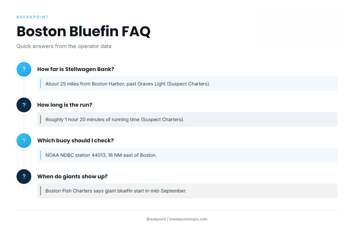 FAQ: Atlantic bluefin tuna out of Boston Harbor