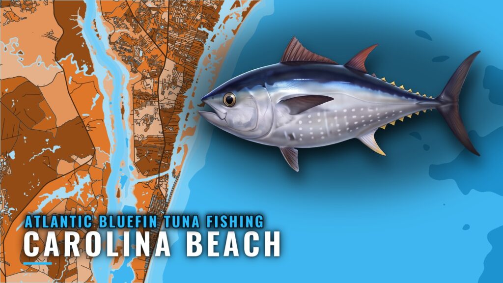 Atlantic bluefin tuna fishing out of Carolina Beach, NC