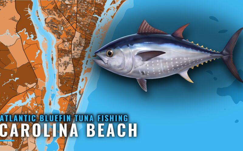 Atlantic bluefin tuna fishing out of Carolina Beach, NC