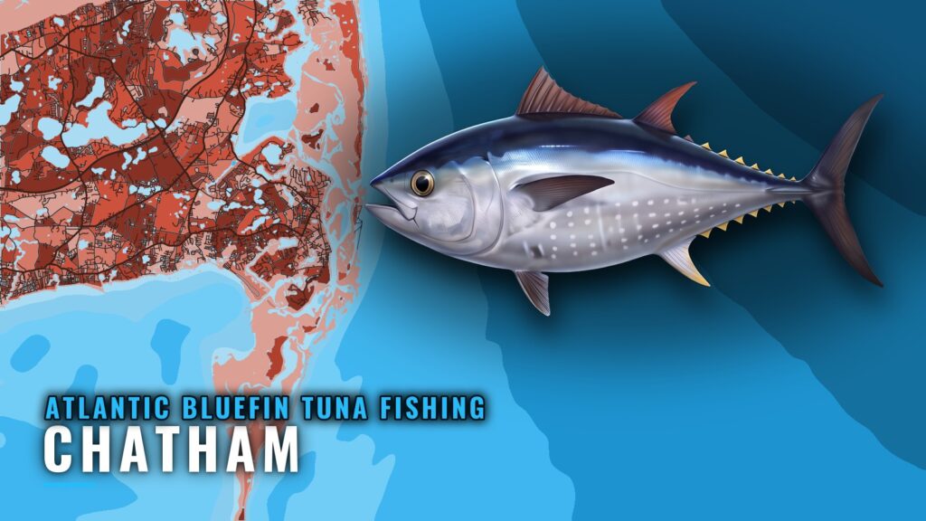 Atlantic Bluefin Tuna Fishing Out of Chatham: Port Guide