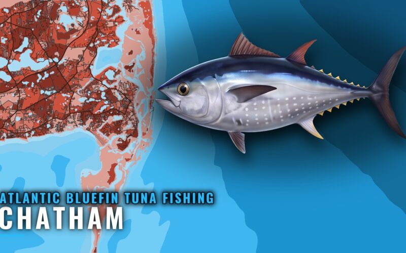 Atlantic Bluefin Tuna Fishing Out of Chatham: Port Guide