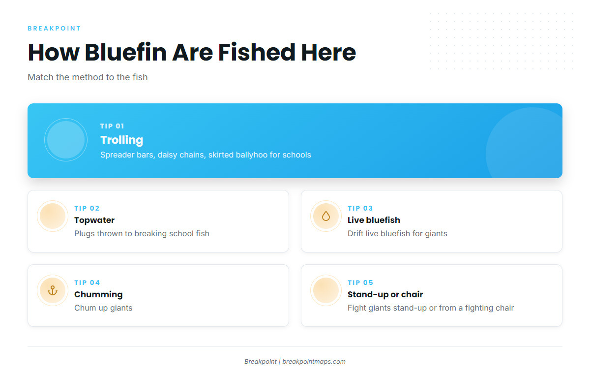 How bluefin are fished here