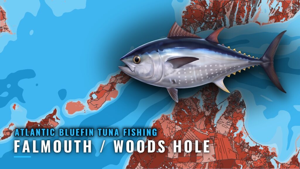Atlantic bluefin tuna fishing out of Falmouth / Woods Hole