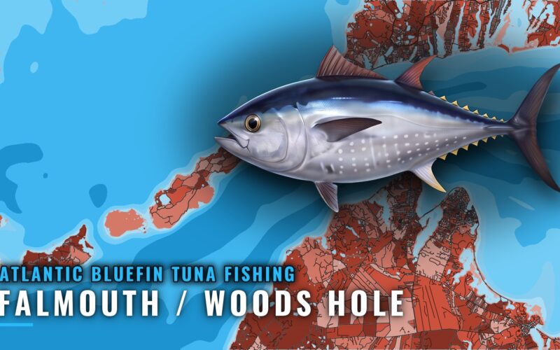 Atlantic bluefin tuna fishing out of Falmouth / Woods Hole
