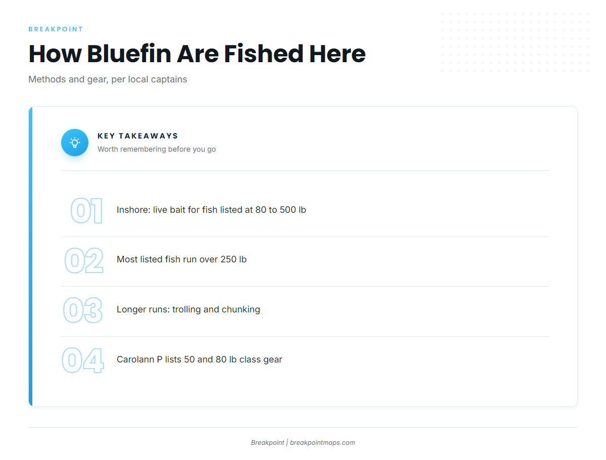 How bluefin are fished here