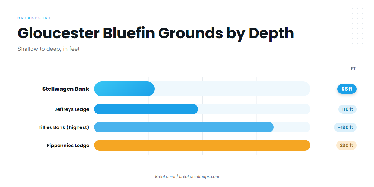 Grounds and structure that hold bluefin