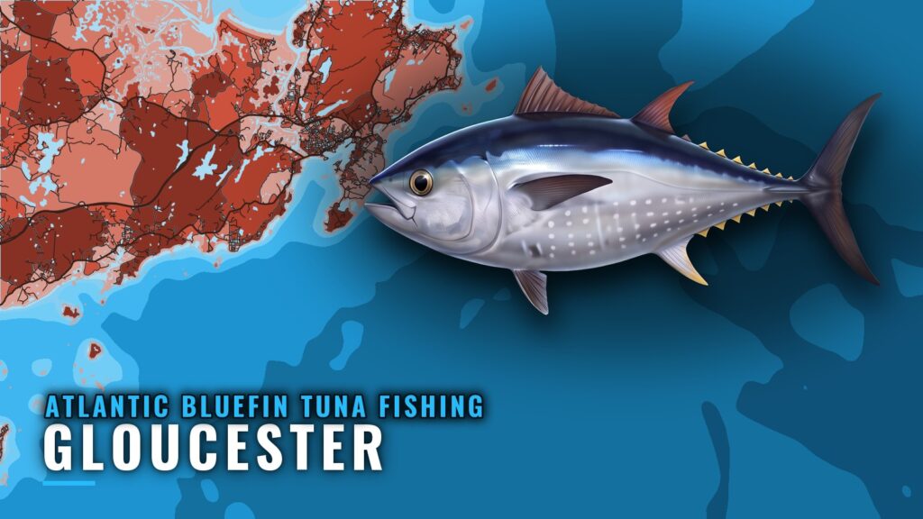 Atlantic bluefin tuna fishing out of Gloucester: grounds