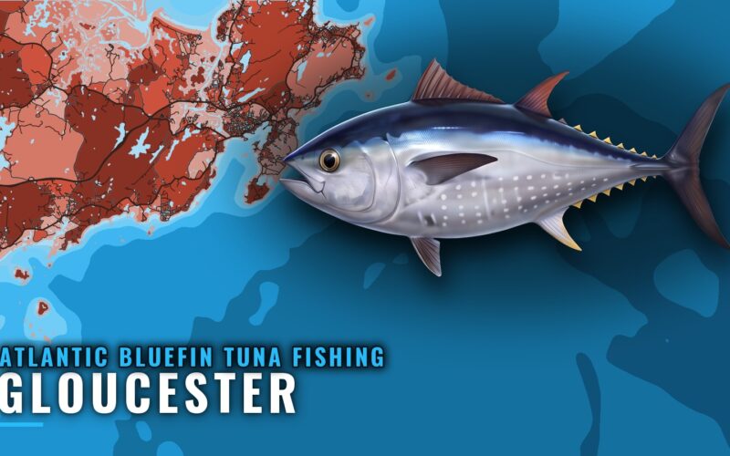 Atlantic bluefin tuna fishing out of Gloucester: grounds