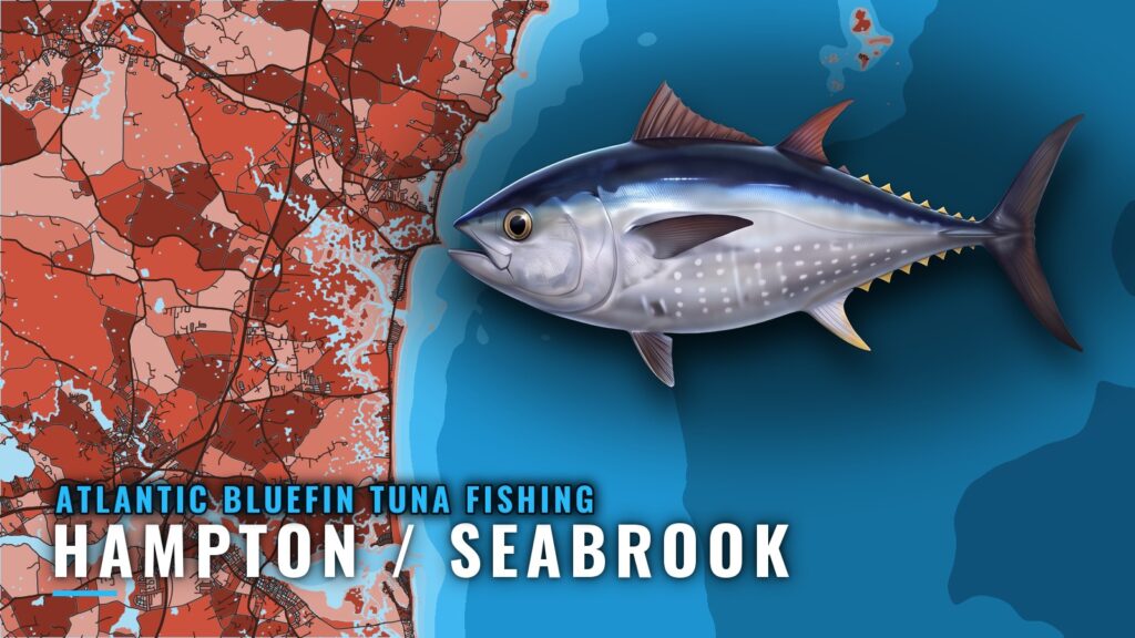 Atlantic Bluefin Tuna Fishing Out of Hampton / Seabrook