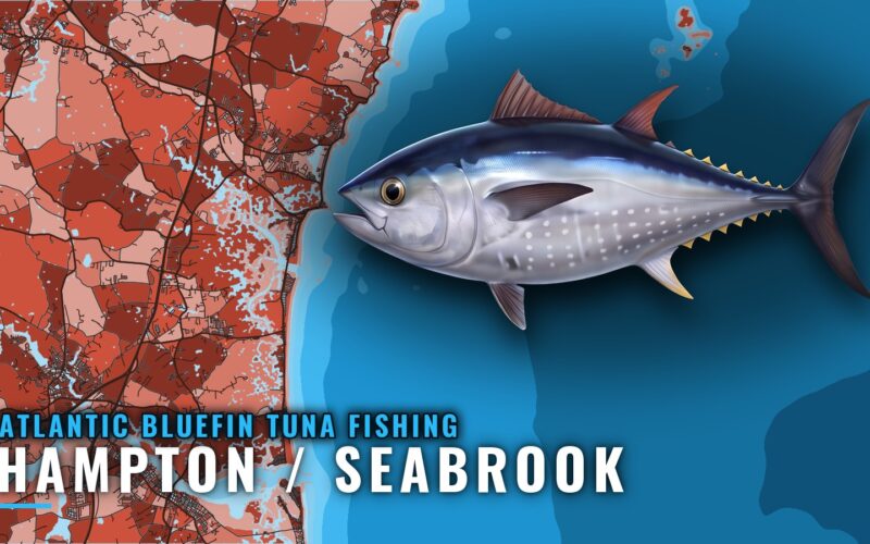 Atlantic Bluefin Tuna Fishing Out of Hampton / Seabrook
