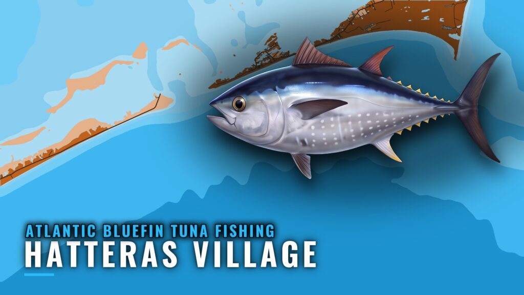 Atlantic Bluefin Tuna Fishing Out of Hatteras Village, NC