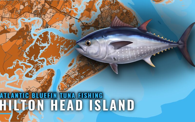 Atlantic Bluefin Tuna Fishing Out of Hilton Head Island