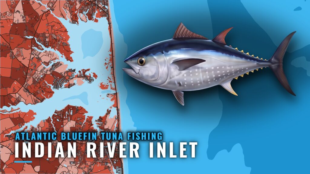 Atlantic Bluefin Tuna Fishing Out of Indian River Inlet, DE