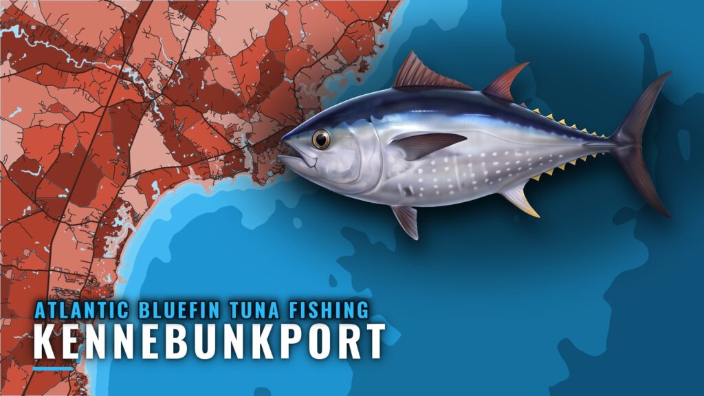 Atlantic Bluefin Tuna Fishing Out of Kennebunkport, Maine