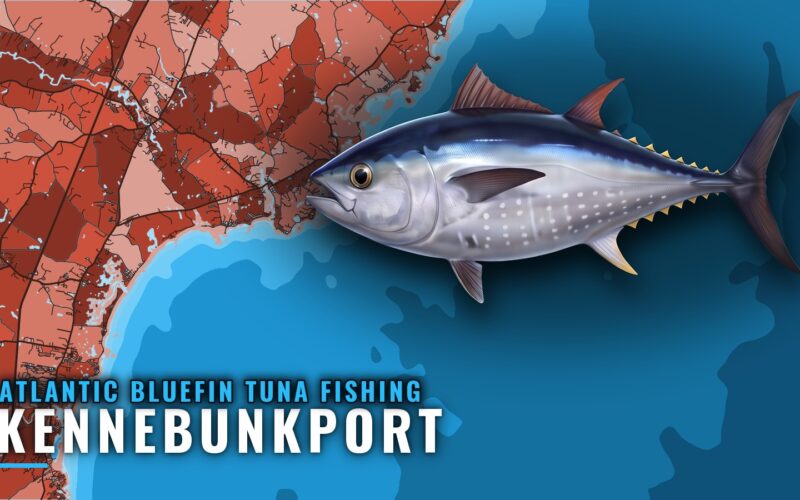Atlantic Bluefin Tuna Fishing Out of Kennebunkport, Maine
