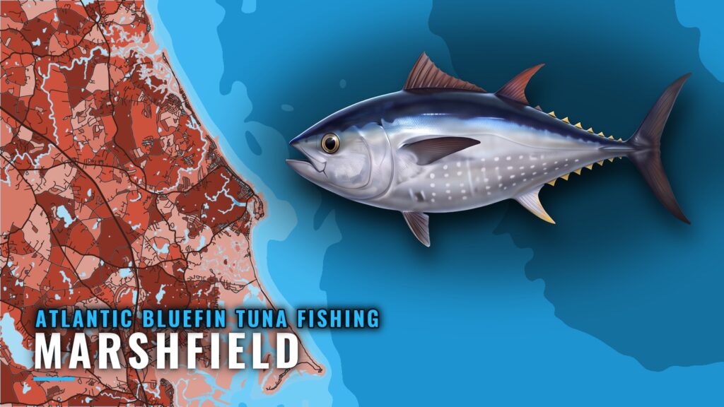 Atlantic Bluefin Tuna Fishing Out of Marshfield, MA