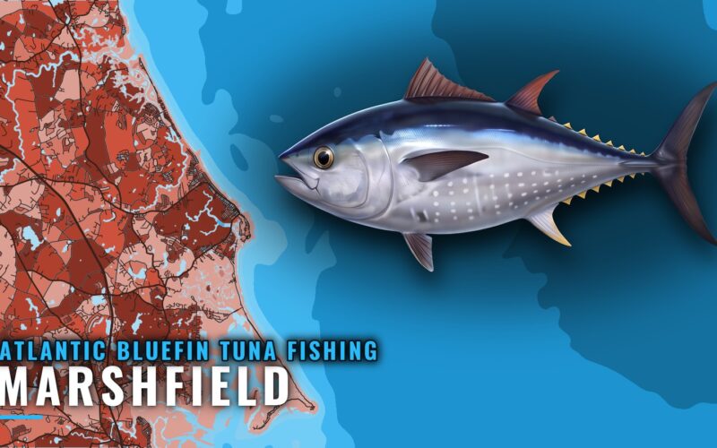 Atlantic Bluefin Tuna Fishing Out of Marshfield, MA