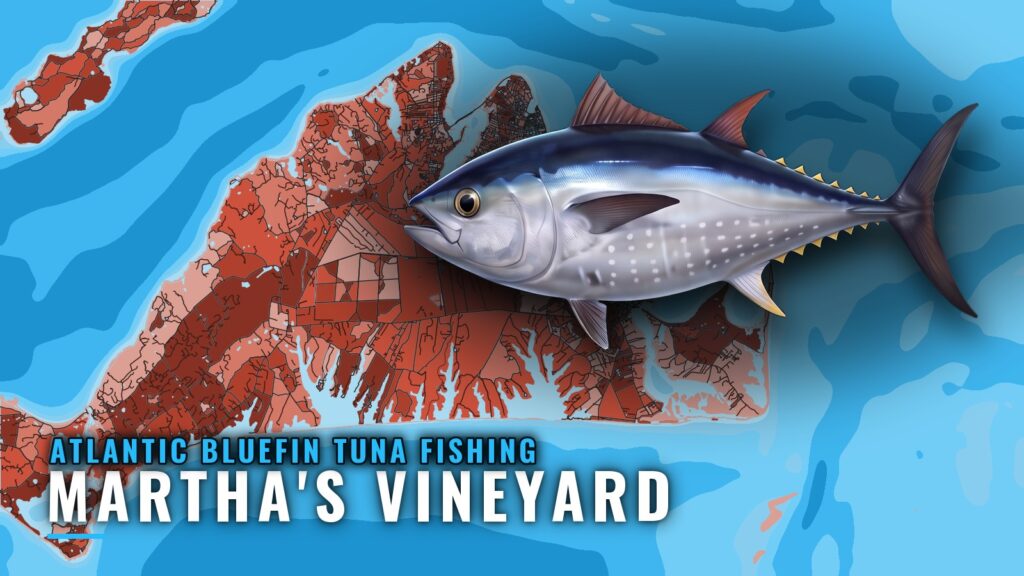 Atlantic Bluefin Tuna Fishing out of Martha’s Vineyard