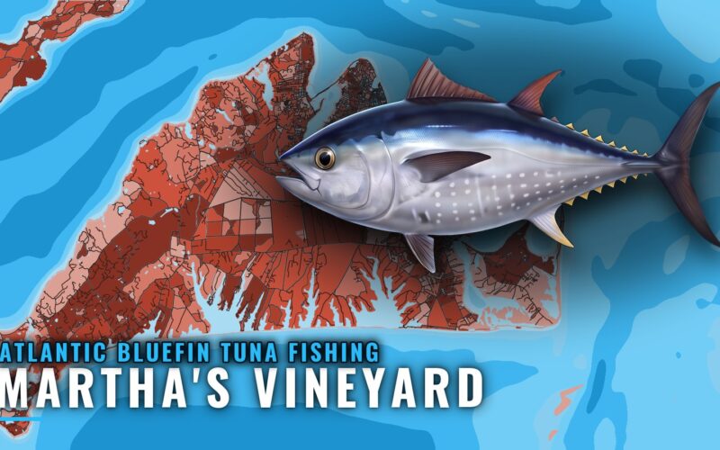 Atlantic Bluefin Tuna Fishing out of Martha’s Vineyard